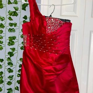 Ruby Red Fancy Mini Dress